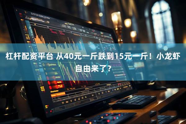杠杆配资平台 从40元一斤跌到15元一斤！小龙虾自由来了？